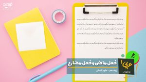 فعل ماضی و فعل مضارع